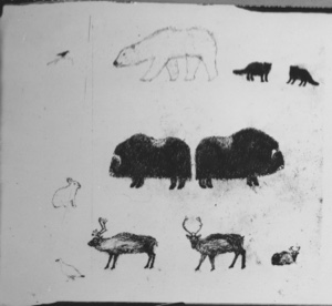Image: Animals of the Polar regions as drawn by an Eskimo [Inughuit]