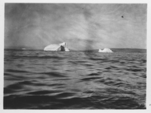 Image: [Icebergs]