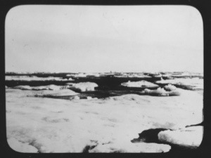 Image of [Ice floes]