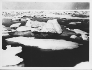 Image of Ice pack of Melville Bay
