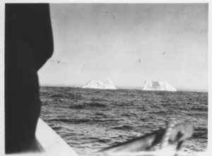 Image of [Icebergs from the Bowdoin]