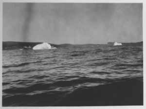 Image: [Small icebergs off shore]