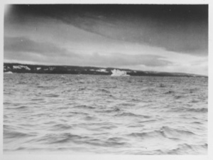 Image of [Small iceberg near shore]