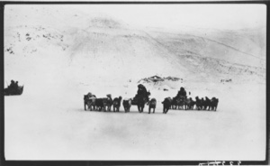 Image of Dog teams off on a long tip to hunting grounds in the north