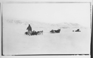 Image of MacMillan and his dog team in Eureka Sound, Ellesmere Land