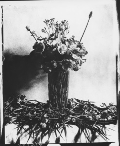 Image of [Arctic flowers in a vase]