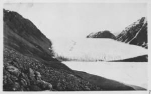 Image of Brother John's Glacier, glacier from hill