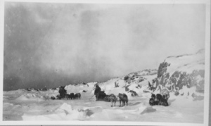 Image of Dog teams on the ice foot near Cape Hatherton