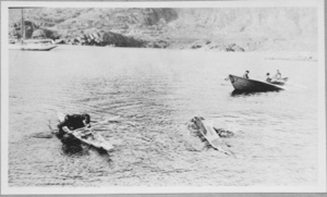 Image of Kayak capsizing, Holsteinsborg [Sisimiut]