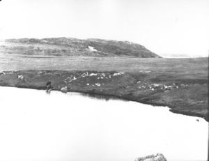 Image of Eskimo [Inuit] Tupik