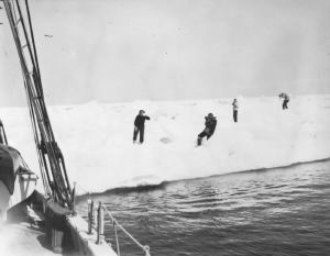 Image: On the ice pack off Saglek Bay