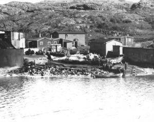 Image of Hawke's Harbor