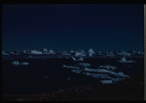 Image: Icebergs in ice field