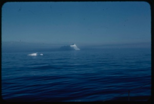 Image of Icebergs in mist