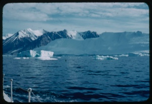 Image of Icebergs by snow-capped peaks