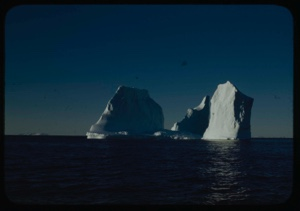 Image: Icebergs in sun and shadow