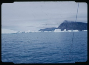 Image of Icebergs in ice field