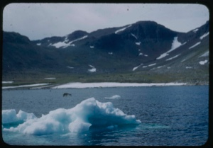 Image of Iceberg remains