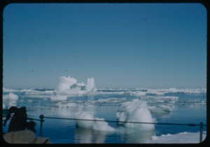 Image of Icebergs and scattered ice beyond rail
