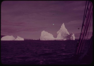 Image of Icebergs beyond rigging