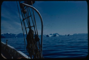 Image of Icebergs through rigging