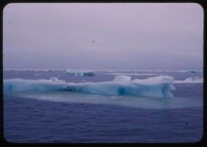 Image of Icefield and dying icebergs