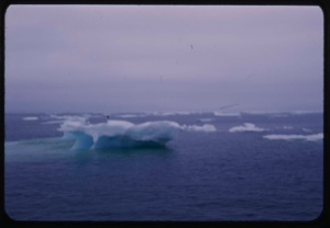Image of Icefield and dying iceberg
