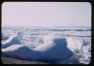 Image: Polar ice pack