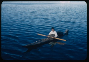 Image of Polar Eskimo in kayak
