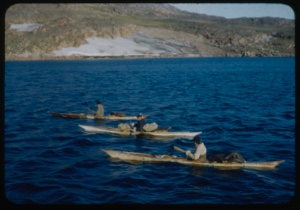 Image of Three kayakers