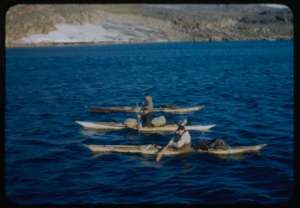 Image: Three kayakers