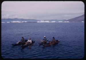Image: Four kayakers