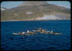 Image of Five kayakers