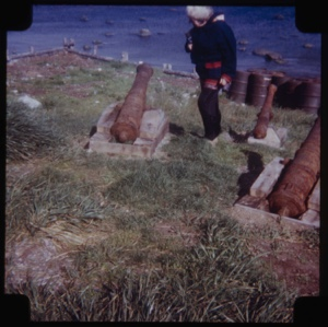 Image of Kate Hettasch looking at 3 old cannons