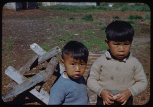 Image of Two Eskimo [Inuit] boys by sawhorse