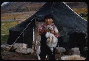 Image of Eskimo [Inuk] boy holding pup
