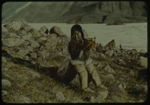 Image of Eskimo [Inuk] girl sitting on rock holding flowers