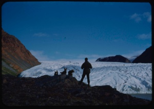Image: Crew member and dogs at Brother John's Glacier