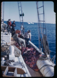 Image of Deck view after walrus hunt