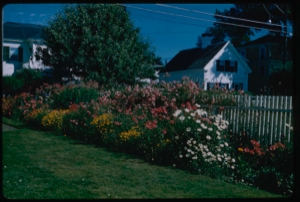 Image of The garden