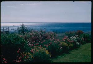 Image of View across garden to water