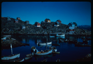 Image of Village. Many boats in harbor