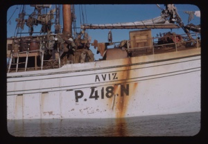 Image of Portuguese fishing vessel AVIZ-P418N