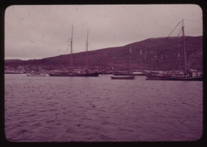 Image of Fishing fleet