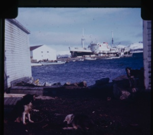 Image: Mail boat at dock