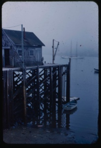 Image of Bowdoin, fog-bound