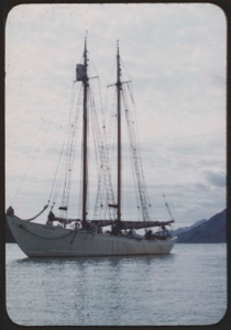 Image of Bowdoin, moored