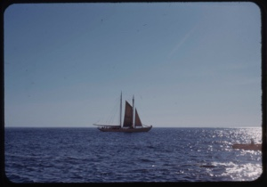Image: Bowdoin under sail