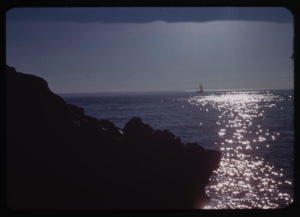 Image: Bowdoin under sail; sunlight on water