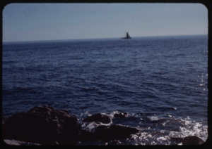 Image: Bowdoin under sail, off shore
